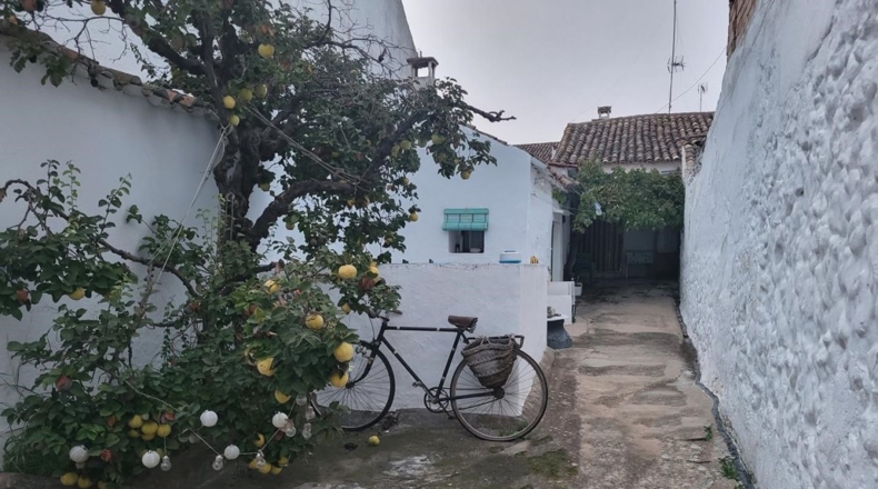 Cuenca - Sisante - 206m2