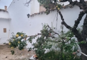 Village house for sale in Sisante ref: TR100943 photo