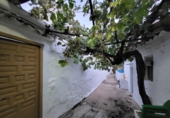 Village house for sale in Sisante ref: TR100943 photo
