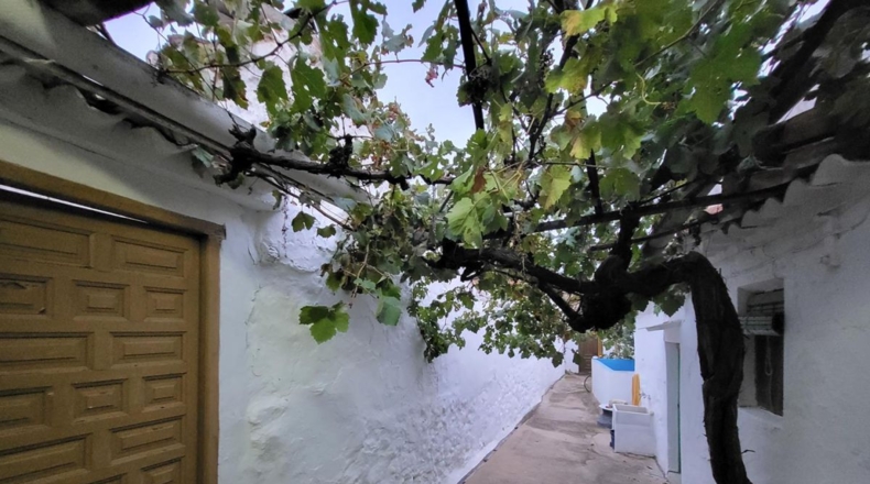 Cuenca - Sisante - 206m2