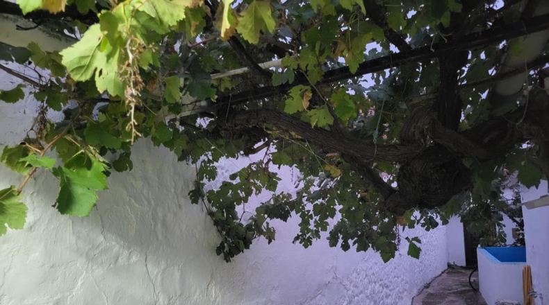Cuenca - Sisante - 206m2