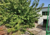 Xalet independent amb terreny en venda a Sisante ref.: TR201555 foto