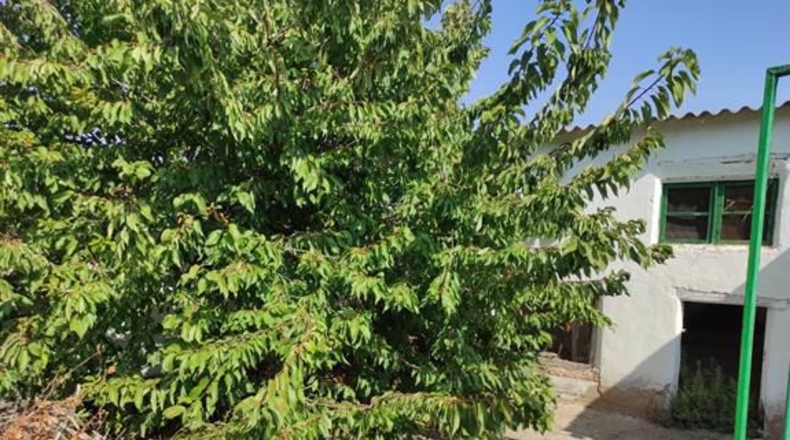 Cuenca - Sisante - 645m2