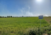 Non-developable land for sale in La Roda ref: TR110617 photo
