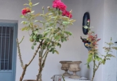 Village house for sale in Sisante ref: TR199482 photo