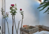 Village house for sale in Sisante ref: TR199482 photo