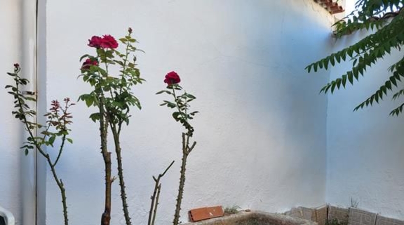 Cuenca - Sisante - 160m2
