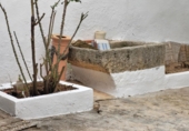 Village house for sale in Sisante ref: TR199482 photo