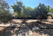 Rural estate for sale in Munera ref: TR284788 photo