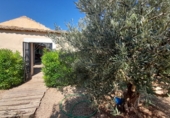 Rural estate for sale in Munera ref: TR284788 photo