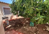 Rural estate for sale in Munera ref: TR284788 photo