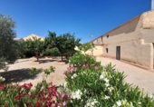 Rural estate for sale in Munera ref: TR284788 photo