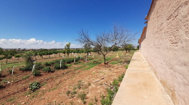 Albacete - Munera - 1400000m2