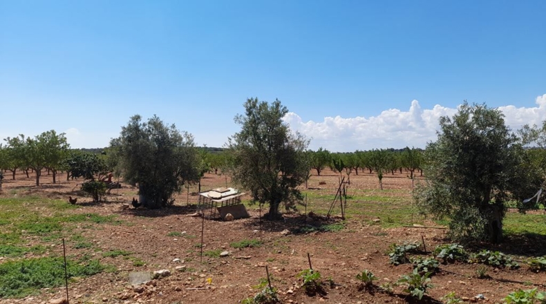 Albacete - Munera - 1400000m2