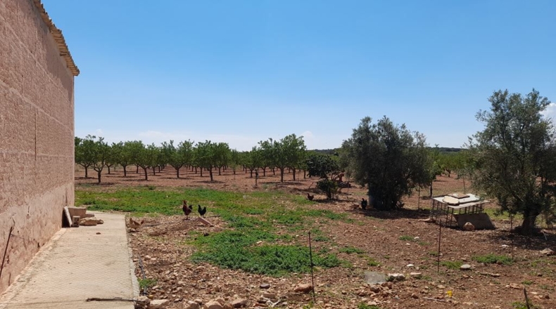 Albacete - Munera - 1400000m2