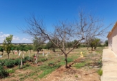 Rural estate for sale in Munera ref: TR284788 photo