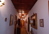 Chalet independiente con terreno en venta en Minaya ref: TR235066 foto