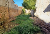 Chalet independiente con terreno en venta en Minaya ref: TR235066 foto