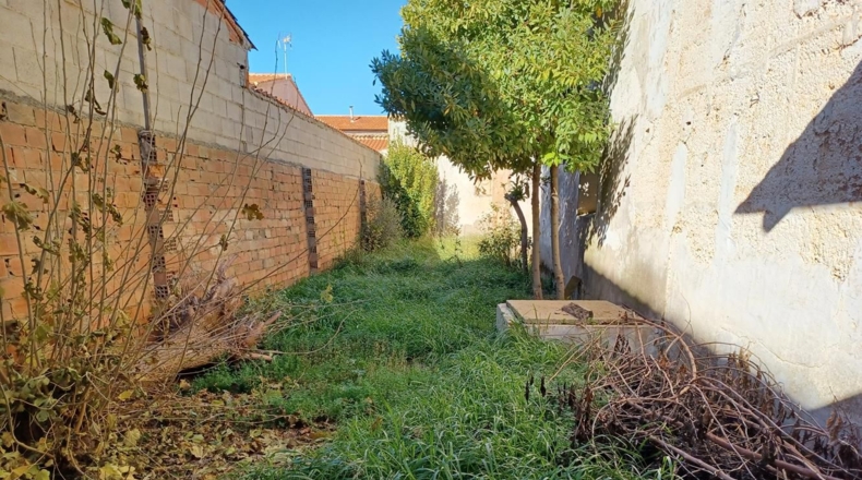 Albacete - Minaya - 816m2