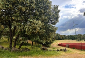 Masegoso 4500000&nbsp;m²
