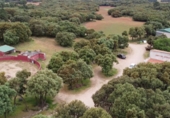 Finca rústica en venta en la España, Masegoso, ref: TR235065 foto