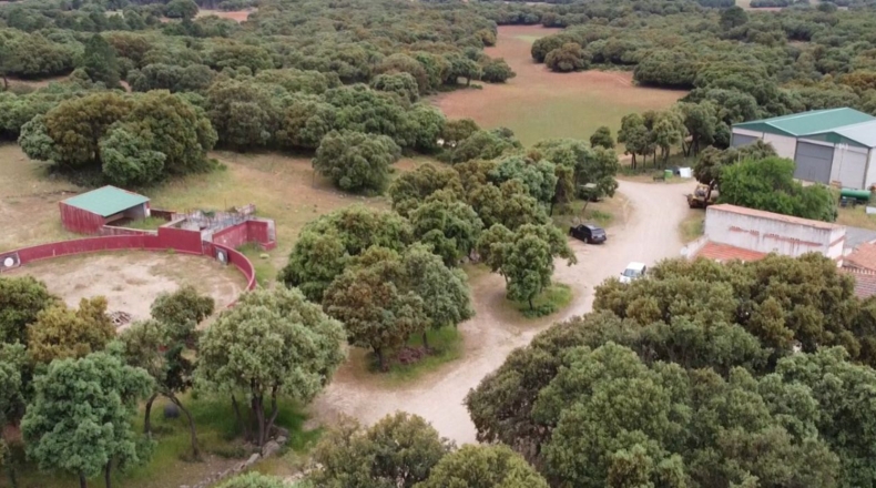 Albacete - Masegoso - 4500000m2
