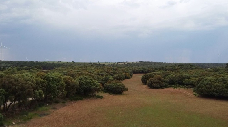 Albacete - Masegoso - 4500000m2