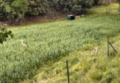 Finca rústica en venta en la España, Masegoso, ref: TR235065 foto
