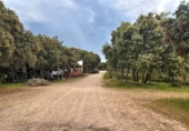 Finca rústica en venta en la España, Masegoso, ref: TR235065 foto