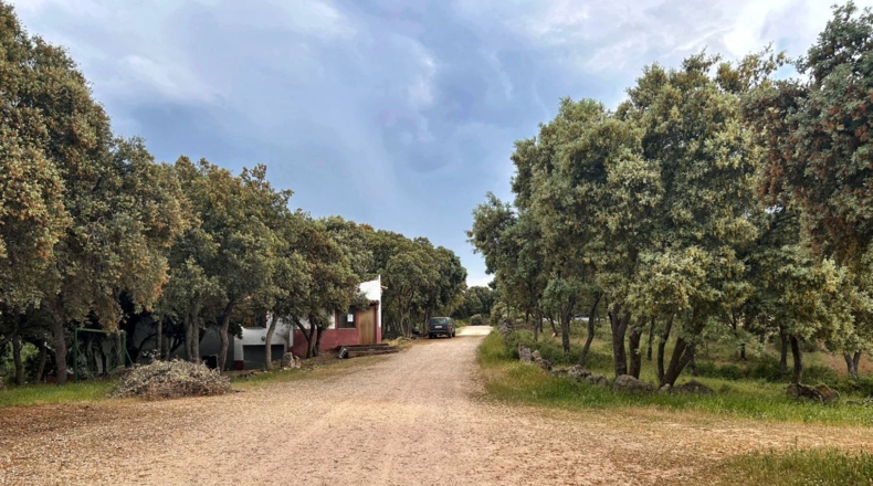 Albacete - Masegoso - 4500000m2