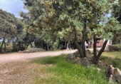 Finca rústica en venta en la España, Masegoso, ref: TR235065 foto
