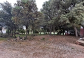 Finca rústica en venta en la España, Masegoso, ref: TR235065 foto