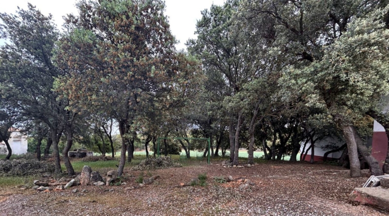 Albacete - Masegoso - 4500000m2