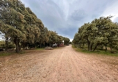 Finca rústica en venta en la España, Masegoso, ref: TR235065 foto