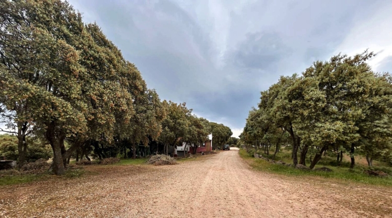 Albacete - Masegoso - 4500000m2