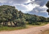Finca rústica en venta en la España, Masegoso, ref: TR235065 foto