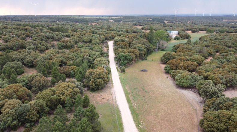Albacete - Masegoso - 4500000m2