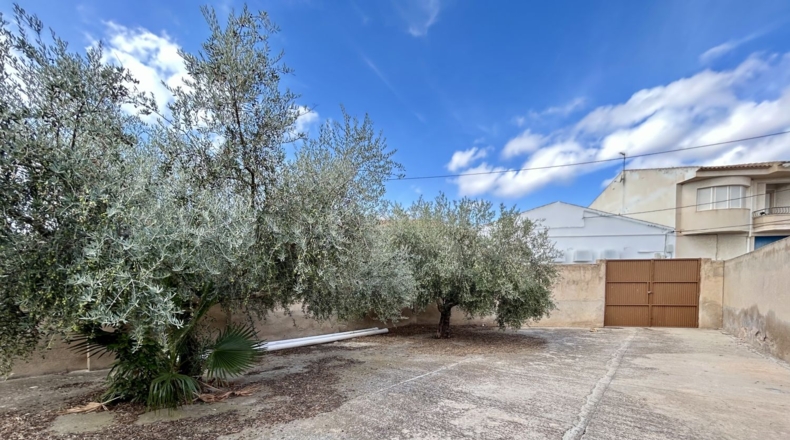 Albacete - Hellín - 367m2