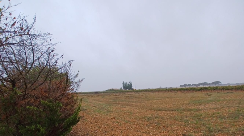 Albacete - La Roda - 6000m2