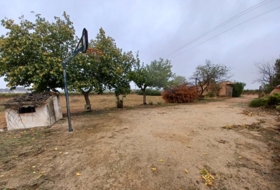 Foto 19