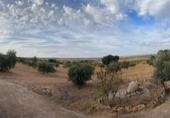 Finca rústica en venta en Sisante ref: TR365505 foto