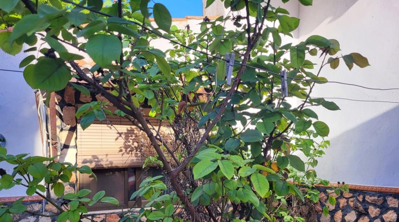 Cuenca - Sisante - 250m2