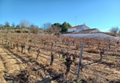 Country house with land for sale in Villalgordo del Júcar ref: TR209501 photo