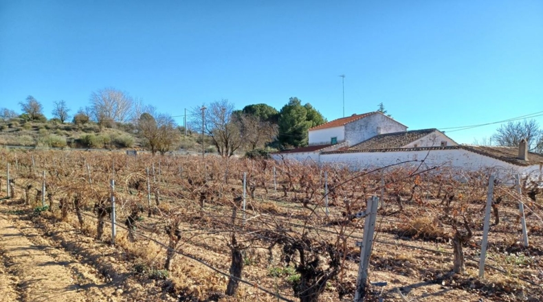 Albacete - Villalgordo del Júcar - 7000m2