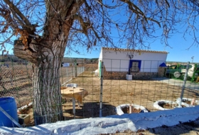 Foto 6