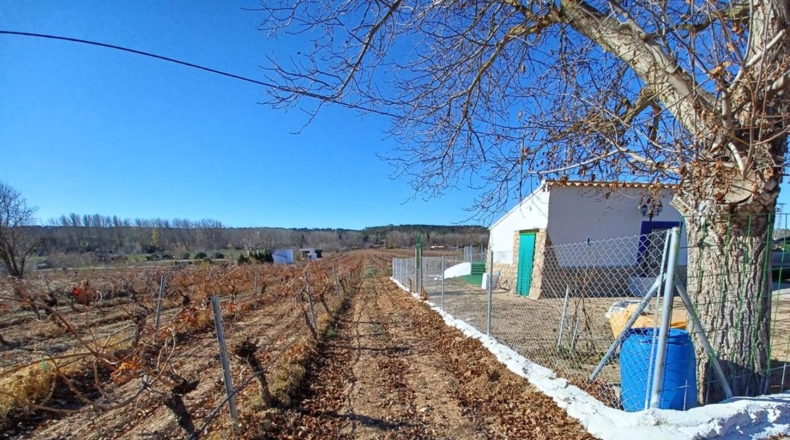 Albacete - Villalgordo del Júcar - 7000m2