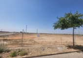 Urban land for sale in Sisante ref: TR353521 photo