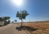 Urban land for sale in Sisante ref: TR353521 photo