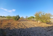Casa de campo con terreno en venta en Fuensanta ref: TR360650 foto