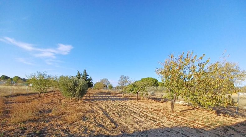 Albacete - Fuensanta - 2500m2